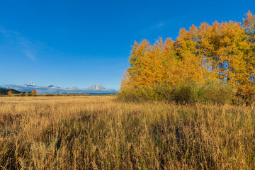Fototapeta na wymiar Scenic Autumn Landscape in the Tetons