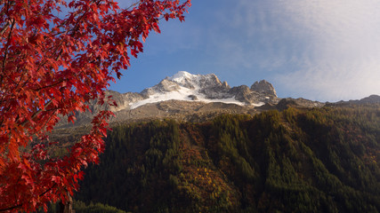 Le printemps sur les Alpes