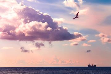 Seagull in the purple sky. Ship at sea. beautiful