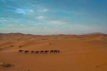 Fototapeta na wymiar Caravan in the Moroccan desert