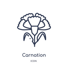 carnation icon from nature outline collection. Thin line carnation icon isolated on white background.
