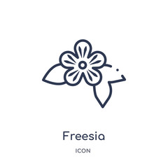 freesia icon from nature outline collection. Thin line freesia icon isolated on white background.