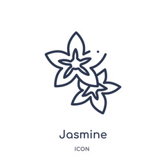 jasmine icon from nature outline collection. Thin line jasmine icon isolated on white background.