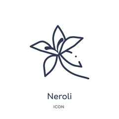 neroli icon from nature outline collection. Thin line neroli icon isolated on white background.
