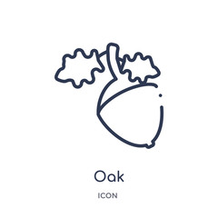 oak icon from nature outline collection. Thin line oak icon isolated on white background.