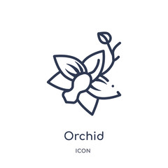 orchid icon from nature outline collection. Thin line orchid icon isolated on white background. © Meth Mehr