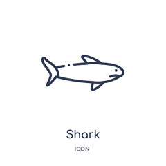 shark icon from nautical outline collection. Thin line shark icon isolated on white background.