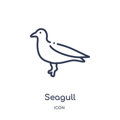 Fototapeta na wymiar seagull icon from nautical outline collection. Thin line seagull icon isolated on white background.