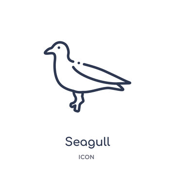 seagull icon from nautical outline collection. Thin line seagull icon isolated on white background.