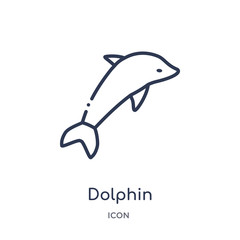 dolphin icon from nautical outline collection. Thin line dolphin icon isolated on white background.