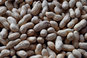Peanuts in nutshell. Nut background. Healthy and dietary nutrition. Raw food.