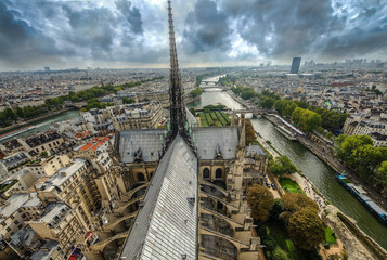 At the top of Cathedral of Notre Dame, Paris, France