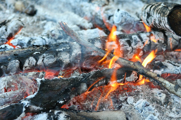 fire in nature . Bonfire in the forest