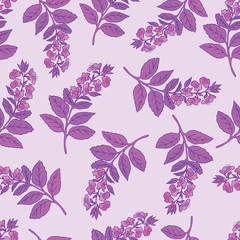 Herbs, spices and seasonings collection. Vector hand drawn seamless pattern with violet contour of basil