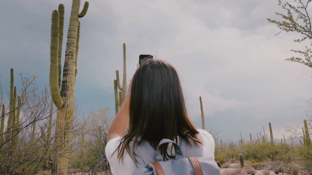Slow motion happy young adult tourist woman taking smartphone photo of huge Saguaro cactus at national park in Arizona.