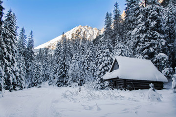 Górska chata zimą, Tatry Polska
