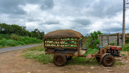 L&eacute;gumes et tracteur
