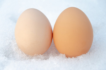 eggs in the snow