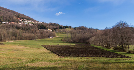 Aerial view of cultivated soybean field from drone pov, top view
