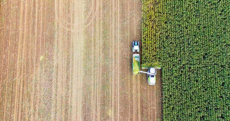 corn harvesting in Europe birds eye view of combine harvester from above top down