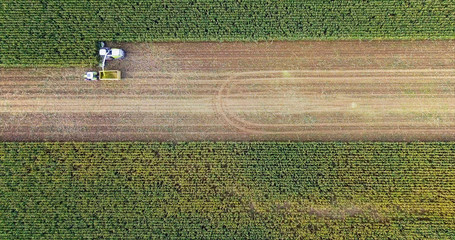 corn harvesting in Europe birds eye view of combine harvester