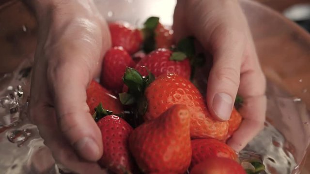 fresh strawberry dropped into water with splash on white background hand pick up hold barries