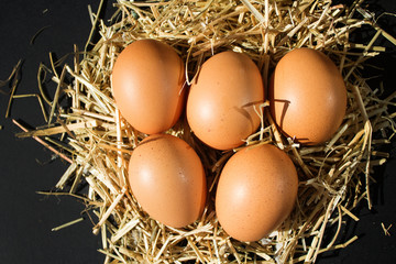 five fresh raw eggs with freckles on the hay on black background