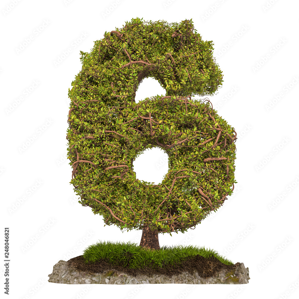 Poster Tree Number 6. Tree in shaped of number 6, 3D rendering
