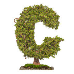 Tree letter C. Tree in shaped of letter C, 3D rendering