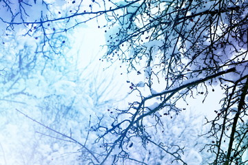 Winter time in landscape