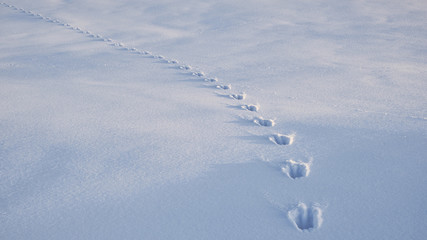 Spuren im Schnee