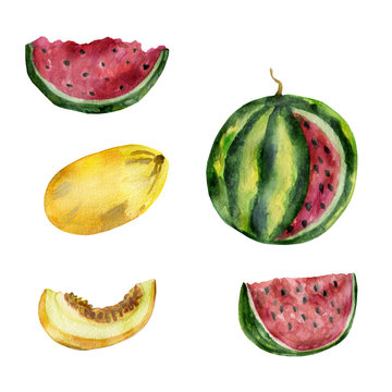 Watercolor painting of watermelon and melon isolated on white background. Watercolor hand painted illustration. Bright fruit pattern, Wallpaper or textile illustration, tropical exotic fruit for beaut