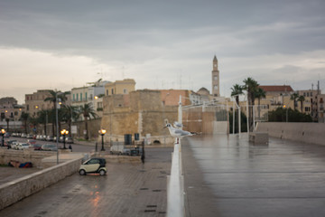 Fototapeta na wymiar the city of Bari, capital of the province of Puglia in southern Italy
