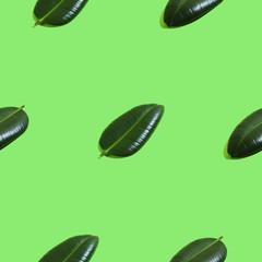 Creative seamless pattern with ficus palm leaves on green background. Tropical abstract background