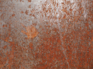 brown rusted steel texture background