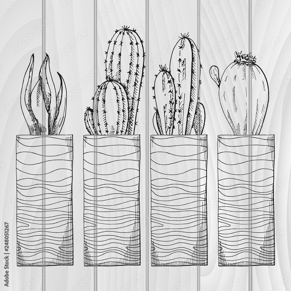 Poster sketch of succulents in high pots. vector illustration of a sketch style