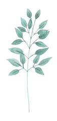 Watercolor leaf 11