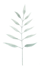 Obraz premium Watercolor leaf 12