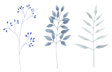 Watercolor leaf set 3