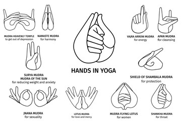 Vector Illustration of various gestures of hands contours in meditation, on a white background. Hand drawn drawn set of different wise for banner design. Hands in yoga, gestures for health and energy