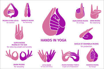 Vector Illustration of various gestures of colorful hands in meditation, on a white background. Hand drawn drawn set of different wise for banner design. Hands in yoga, gestures for health and energy