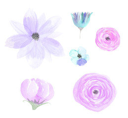Watercolor flower set 5