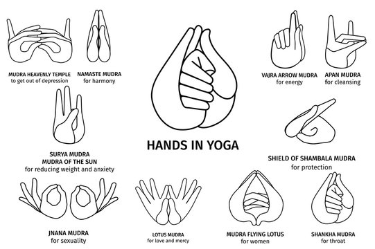 Vector Illustration of various gestures of hands contours in meditation, on a white background. Hand drawn drawn set of different wise for banner design. Hands in yoga, gestures for health and energy