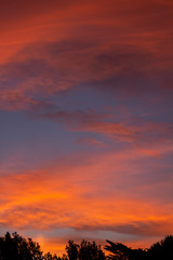 Some Clouds during sunset dyed golden colors.