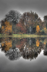 Obraz premium Reflets sur l'étang