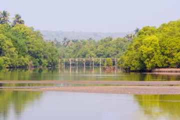 bamboo bridge over the river