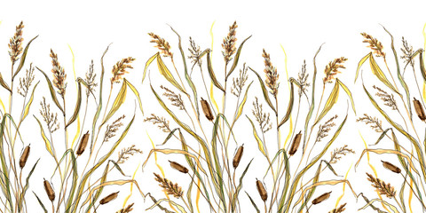Seamless Border of sketching grass Typha on wight background © Dina Guiter