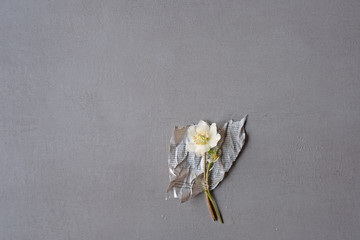 Christrose auf einem Stück Zeitungspapier auf grauem Hintergrund