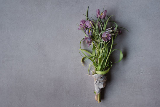 Fr&uuml;hlingsblumen auf grauem Hintergrund von oben fotografiert