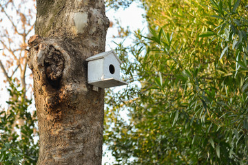 birdhouse on tree